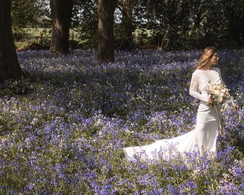 bluebells1600x800