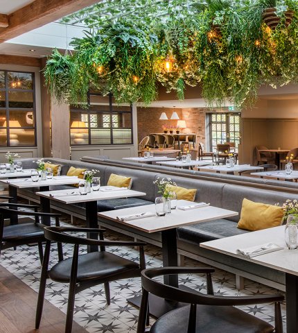 Autumn Dinner, Bed & Breakfast