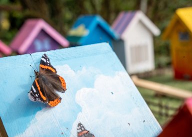 Butterfly resort www.horwoodhouse.co.uk